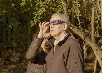 ¿Querés llorar? Llegó a Netflix una de las películas más conmovedoras del año