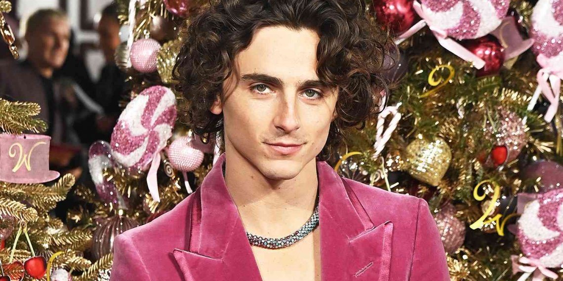 Hablamos con Timothée Chalamet, Hugh Grant y más del elenco de “Wonka”