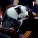 La historia detrás del aplauso de Messi en los Oscars