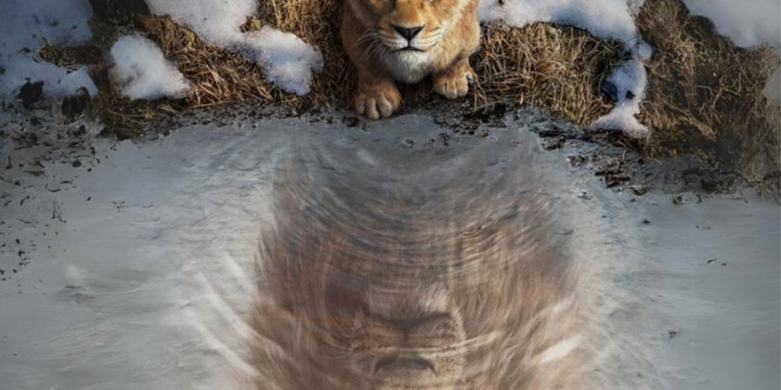 Avatar 3, Toy Story 5, Lilo & Stitch, Mufasa y más anuncios de Disney