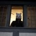 Halloween en Cinéfilos: El slasher que desata una cacería macabra