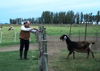 Halloween en Cinéfilos: El fenómeno argentino que marcó un antes y un después