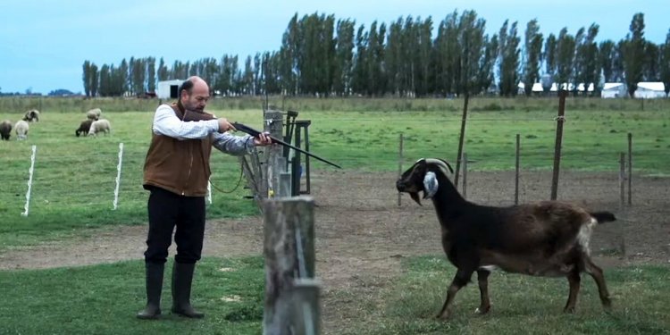 Halloween en Cinéfilos: El fenómeno argentino que marcó un antes y un después