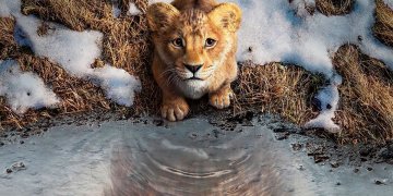 ¿Quién es quién en “Mufasa: El Rey León”?