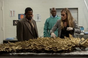 Los más de 20 títulos que se van de Netflix en enero