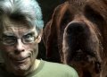 Netflix producirá una remake de “Cujo”, el clásico de terror de Stephen King
