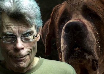 Netflix producirá una remake de “Cujo”, el clásico de terror de Stephen King