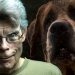 Netflix producirá una remake de “Cujo”, el clásico de terror de Stephen King