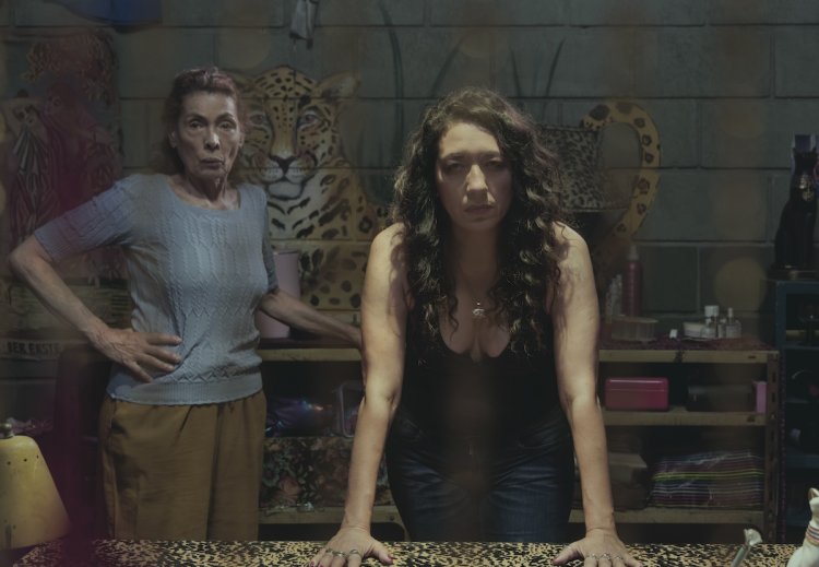 Todos los títulos que llegan a Netflix a partir de febrero