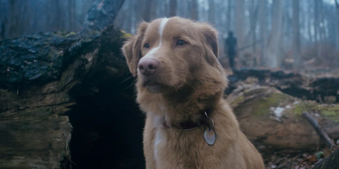 Tres películas imperdibles para ver este fin de semana en streaming